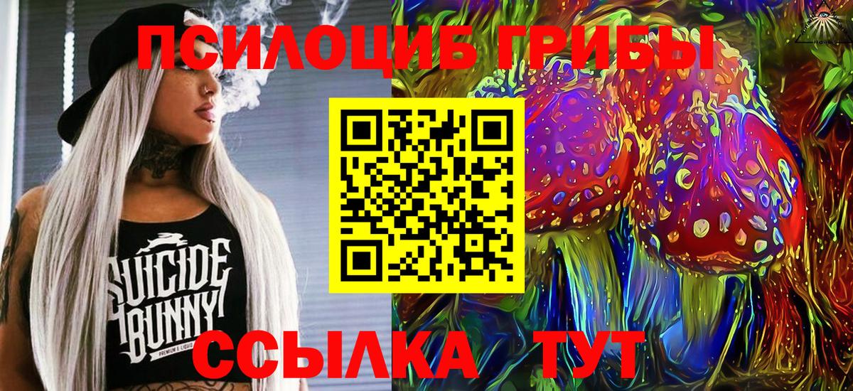Ленинск-Кузнецкий  Галлюциногенные грибы Psilocybine cubensis  наркота  Вход с VPN 